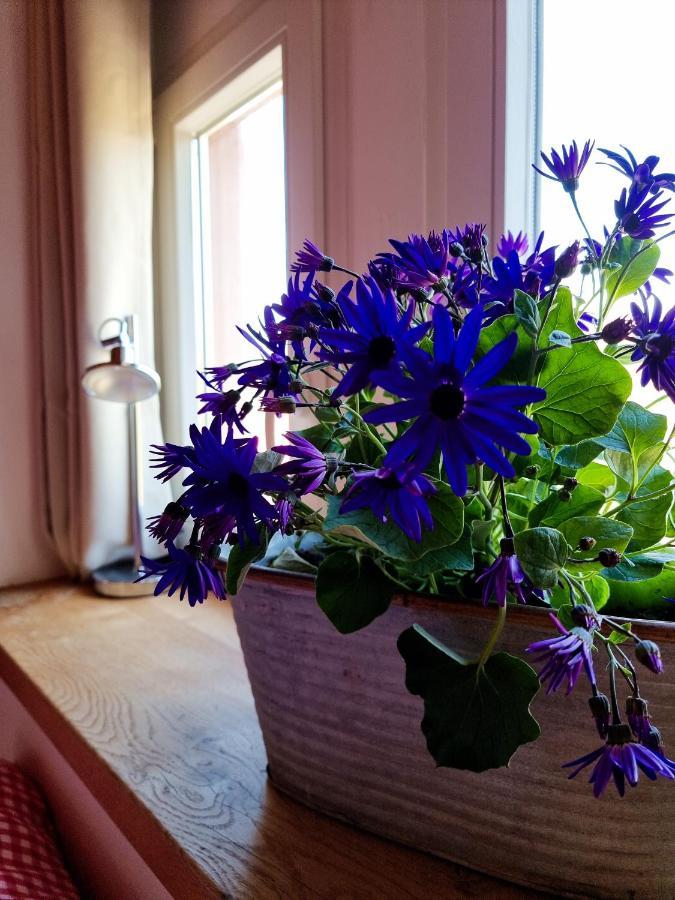 Glaadter Huette Villa Junkerath Dış mekan fotoğraf